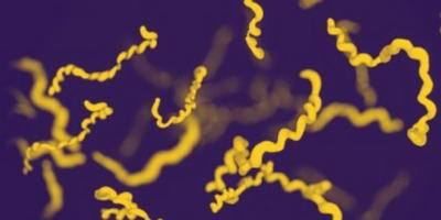 Нативна фаготерапія: контрольована індукція профагів як зброя проти патогенних бактерій