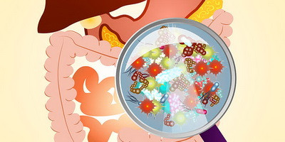 Бактеріофаги – мешканці кишечника людини