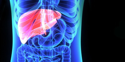 Бактеріофаги в лікуванні алкогольної хвороби печінки