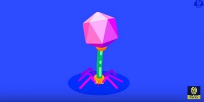 Бактеріофаг - найсмертоносніша істота на Землі