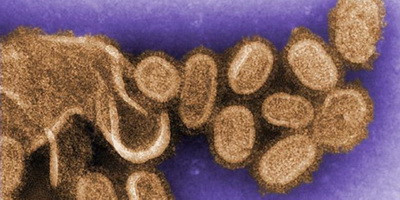 Приймати антибіотики при грипі небезпечно