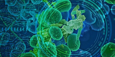 У кишечнику кожної людини живуть десятки тисяч видів фагів