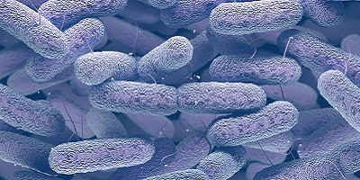 Фармакокінетика перорального фагового препарату проти Klebsiella pneumoniae